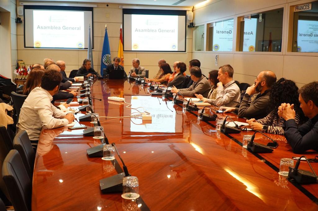 Sectorial Nacional del Aceite de Oliva with DOP