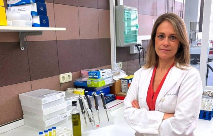Andalusian researchers apply AI to predict extra virgin olive oil aroma with high accuracy