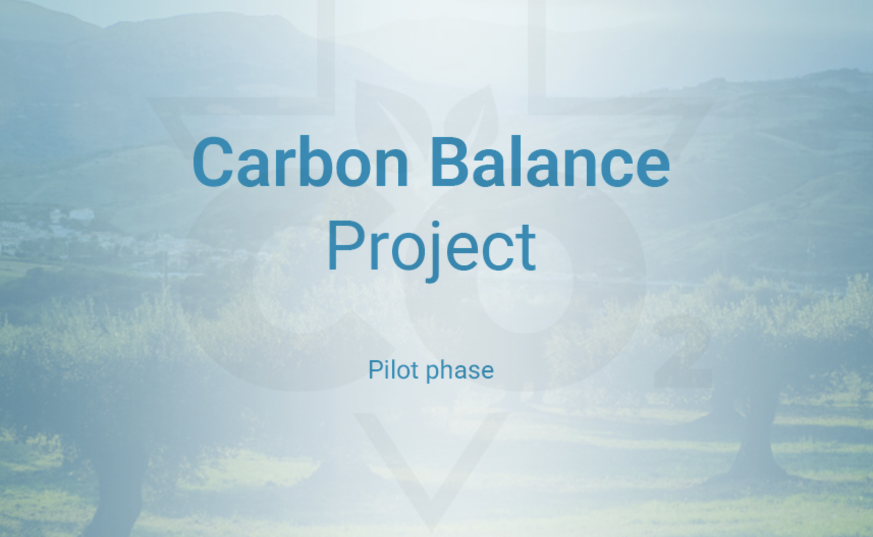 Second IOC training on the carbon balance tool