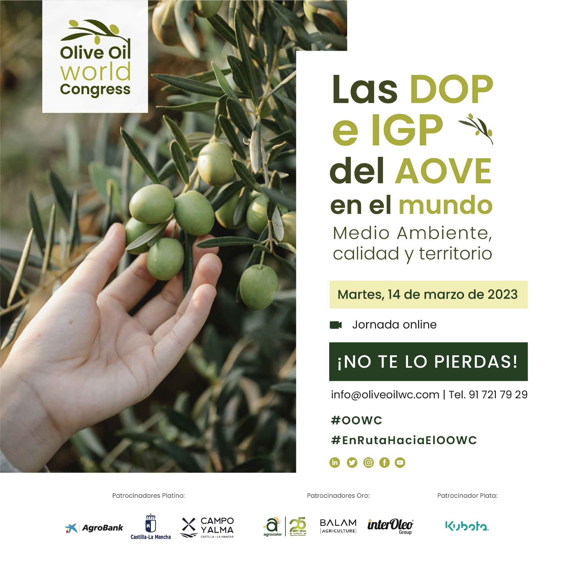 DOP E IGP ACEITE DE OLIVA