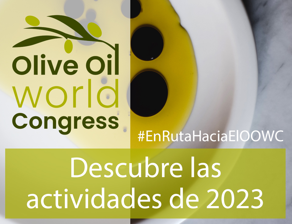 En Ruta hacia el Olive Oil World Congress