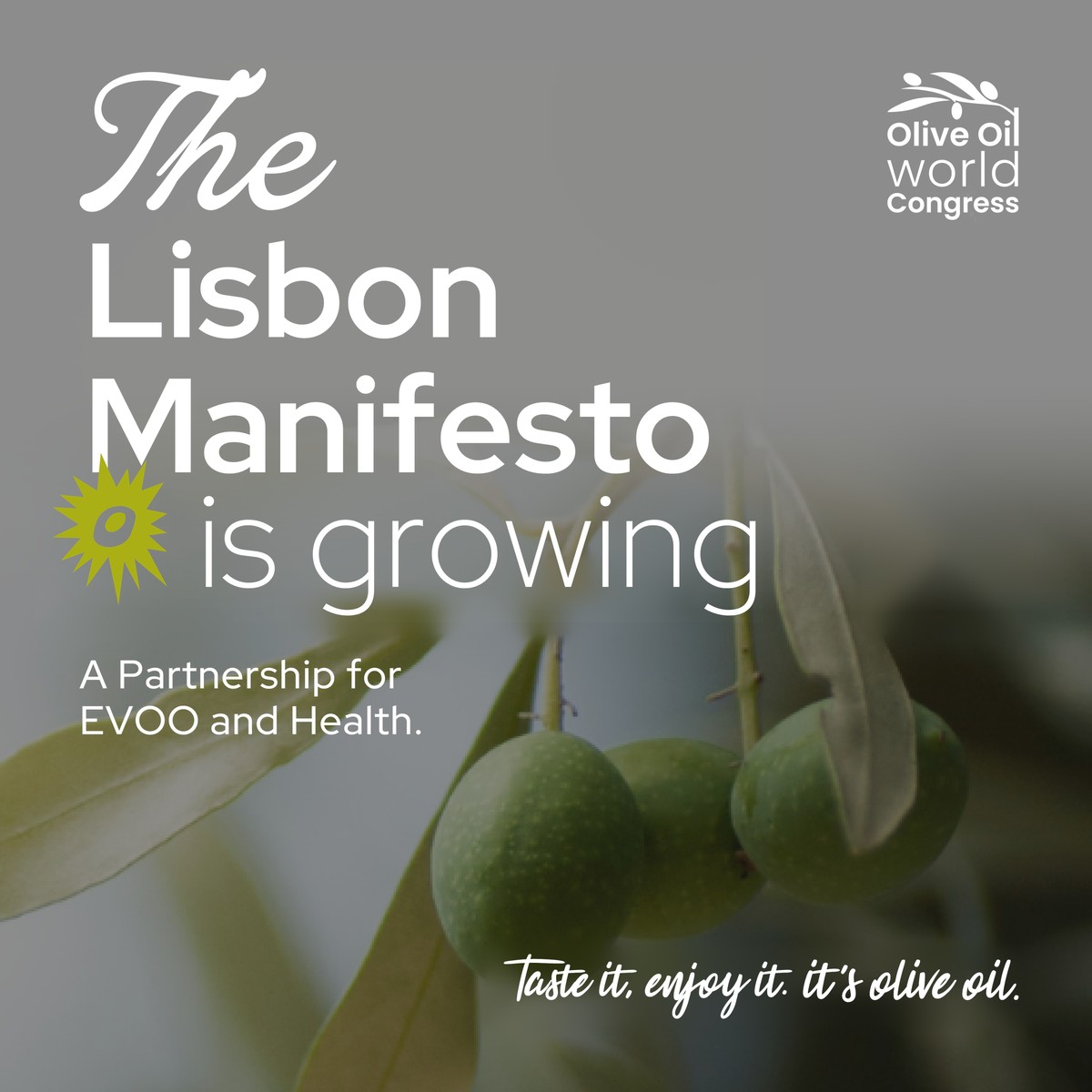 The Lisbon Manifesto Drives an Unprecedented Alliance for EVOO and Health