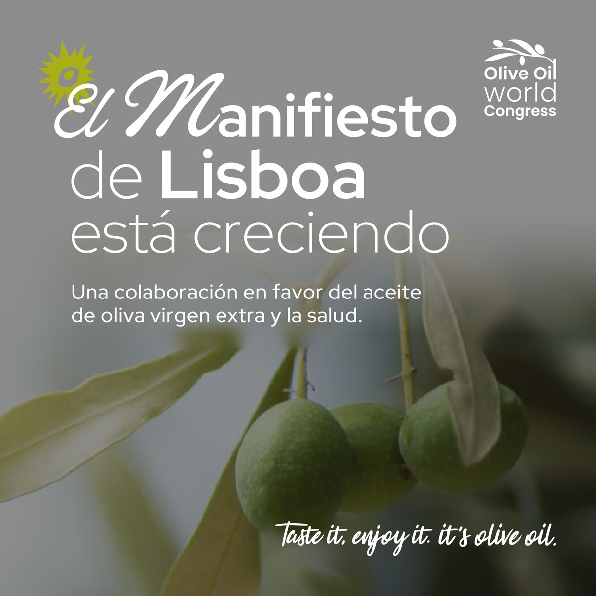 El Manifiesto de Lisboa impulsa una alianza sin precedentes por el AOVE y la salud