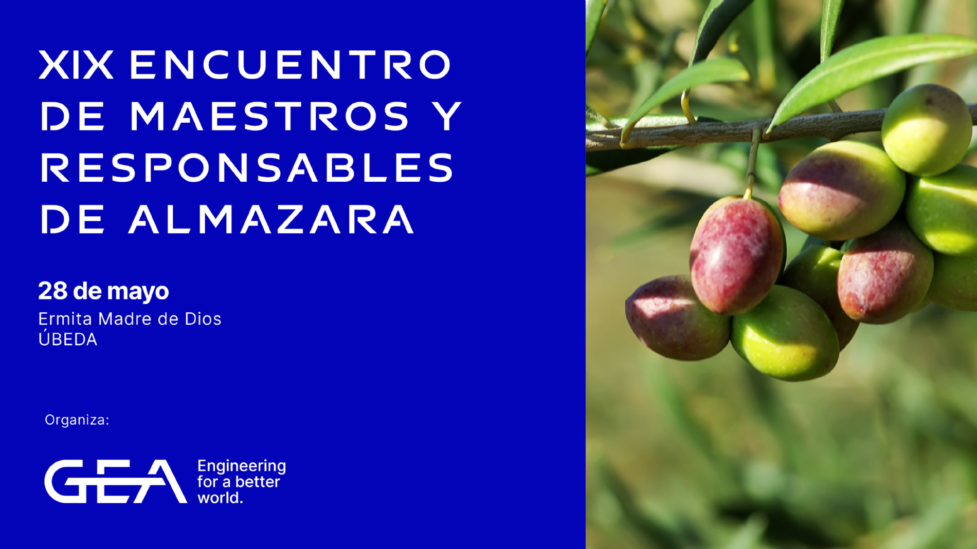 El XIX Encuentro de Maestros y Responsables de Almazara de GEA se celebrar� el 28 de mayo en �beda