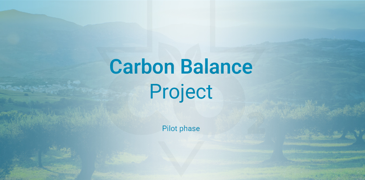 Carbon Balance