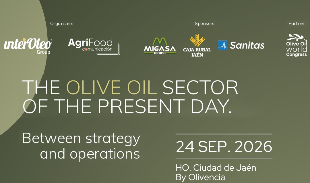 Where Is the Olive Oil Sector Heading? Answers Between Strategy and Operations